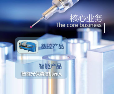 核心业务